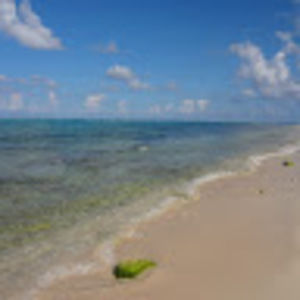 Meet your Posher, Suzanne